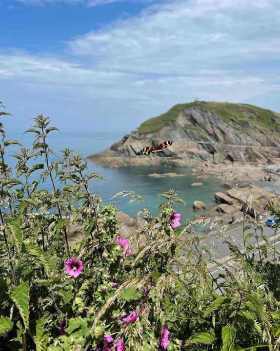 Paramount Apartments Ilfracombe, Arty Seaside Holiday Apartments Exteriér fotografie